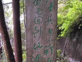 “故乡是一个人感情的摇篮”