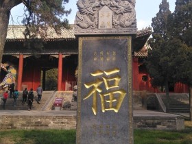 我的墓碑app安卓下载正版安卓手机软件下载地址介绍