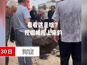 河南村民修路挖出大石龟网友:地下有大墓象征