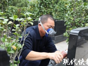 良心活儿,为逝者一生“注脚”——无锡市殡葬服务中心墓园服务科(原青城公墓)